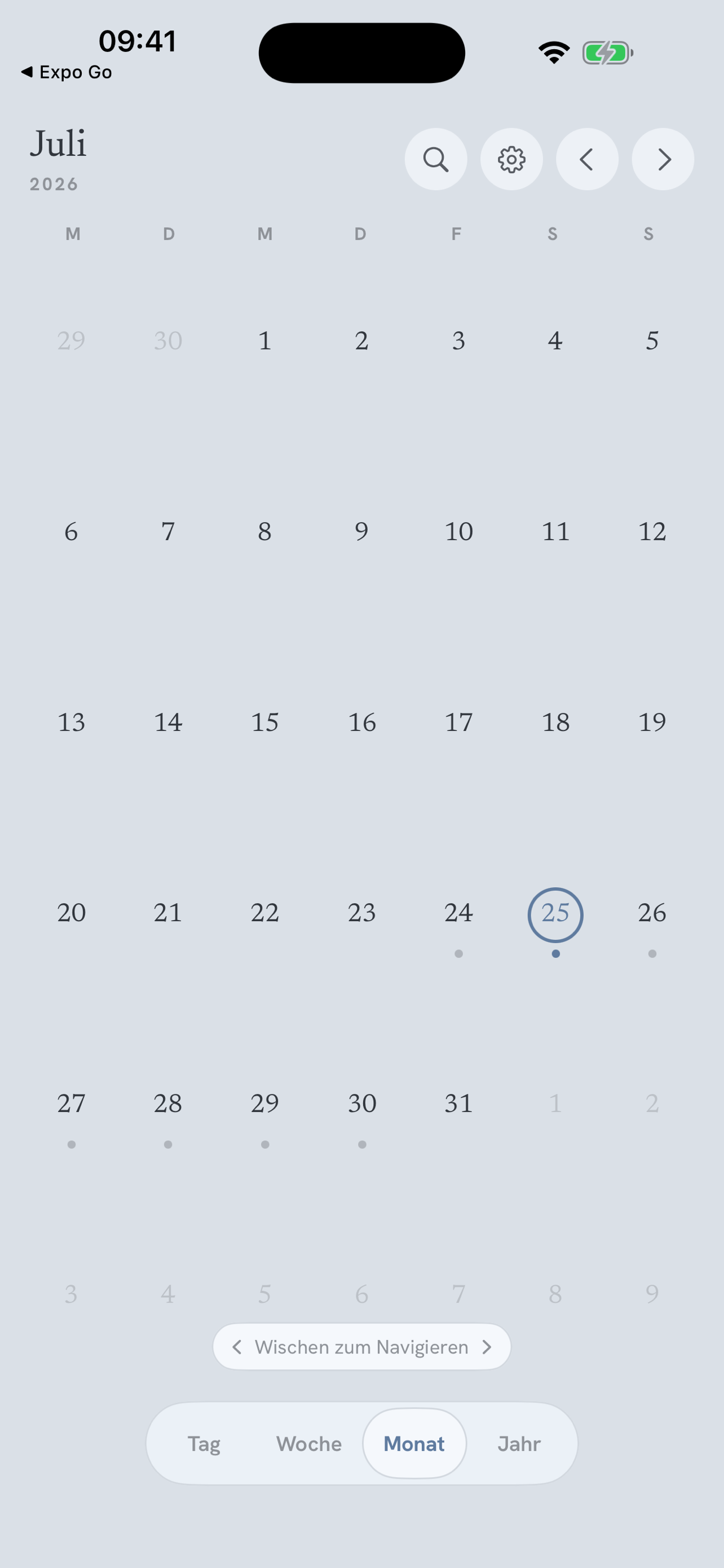Month view: pinch between minimal, detailed and two weeks