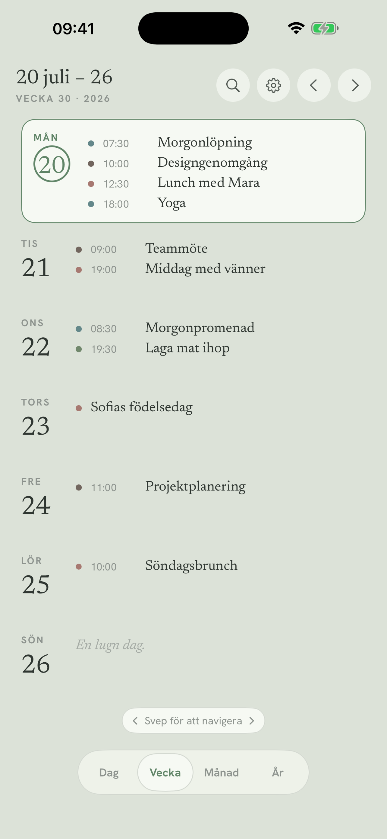 Daypages veckovy