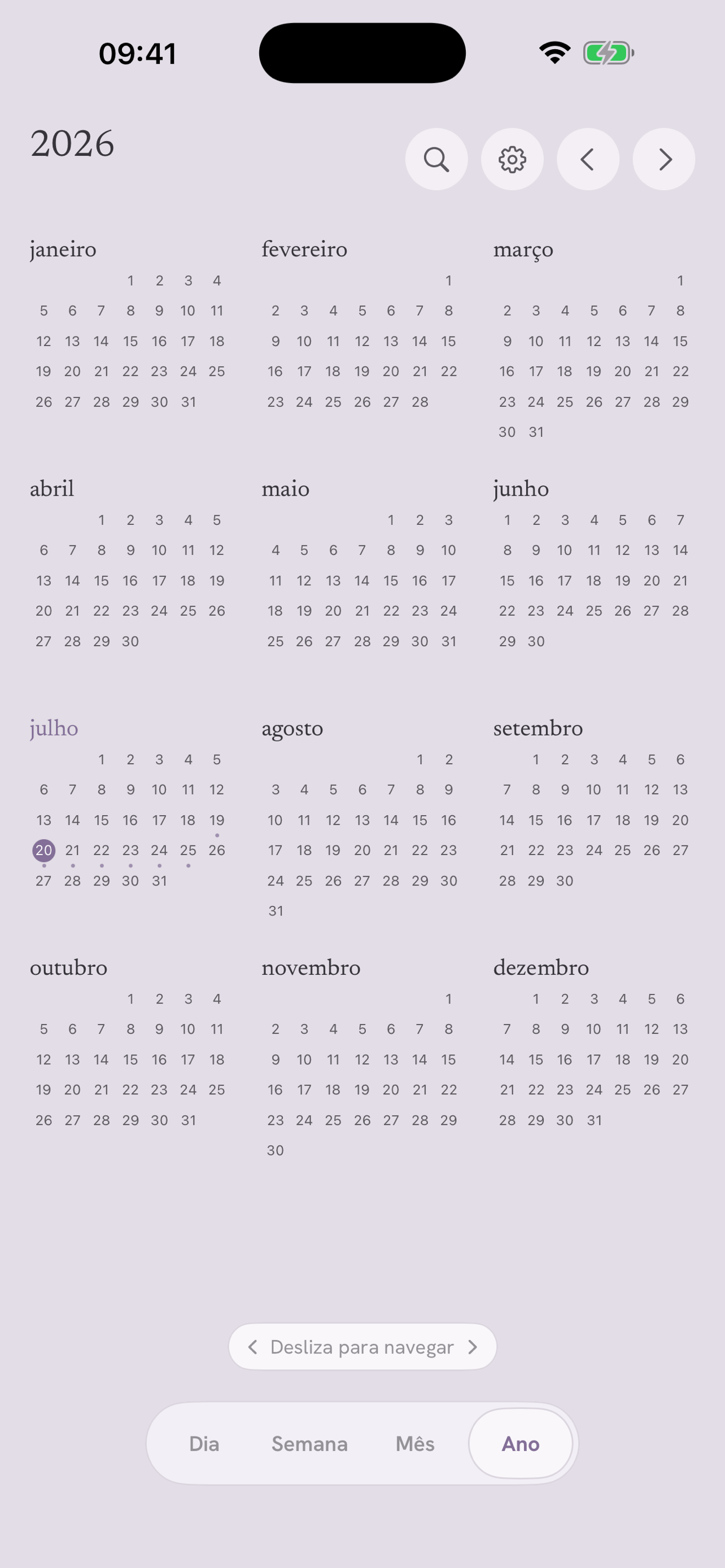 Vista de ano do Daypages